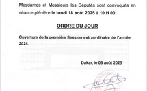 Assemblée nationale : première session extraordinaire convoquée le 18 août