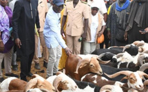 Magal 2025 : Plus de 2,5 millions de volailles et 5.000 bovins inspectés pour garantir la sécurité alimentaire