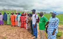 ​Agriculture et entrepreneuriat : le projet AVENIR transforme la vie des communautés au Sénégal