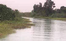 ​Coupé du reste du pays en pleine saison des pluies : le village de Yero Nguedol lance un cri de détresse aux autorités