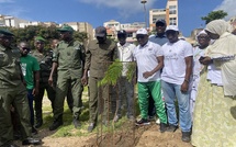JoJ 2026 : une campagne de reboisement de 100 000 arbres lancée à Dakar
