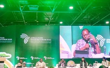 ​Forum africain des systèmes alimentaires : les experts appellent à l'innovation pour transformer l'agriculture africaine