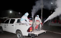 Dakar : une vaste opération anti-moustiques programmée du 11 au 15 septembre