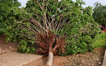 Alerte météo : un temps ensoleillé et des risques de pluies et d’orages localisés attendus ce dimanche