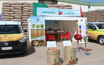 "Micmacs" lors de la campagne arachidière 2022-2023 et la vente d’huile : la Sonacos lance des procédures judiciaires