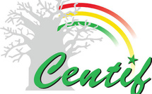 Rapport CENTIF 2024 : plus de 2 milliards FCFA de transactions suspectes détectées sur les plateformes de jeux en ligne