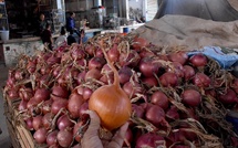Importations d’oignons au Sénégal : le ministre Serigne Gueye Diop lève le gel à partir du vendredi 19 septembre