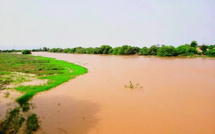 Montée des eaux à Podor : le niveau du fleuve atteint 5,25 mètres