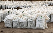 ICS : un record de 105 000 tonnes d’engrais livrés pour la campagne agricole