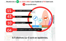 Fièvre de la vallée du Rift : 10 morts et 74 cas confirmés à Saint-Louis