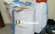 Mbour : 88 kg de chanvre indien saisis par la BRS de Thiès 