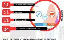 Fièvre de la Vallée du Rift : la situation du 7 octobre fait état de 87 cas et 11 décès à Saint-Louis