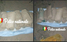 Nguekhokh : 20 blocs de chanvre indien saisis par l’OCRTIS