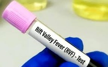 Fièvre de la vallée du Rift : 158 cas recensés dont 124 guéris à Saint-Louis
