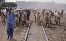 Côte d'Ivoire: au moins 20 morts dans des affrontements à Bouna