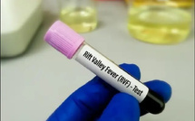 Fièvre de la vallée du Rift : 302 cas confirmés dont 26 décès enregistrés à ce vendredi 