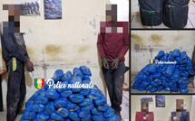 Kaolack : deux trafiquants interpellés et 83 kg de chanvre indien saisis