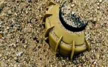 Niaga (Sédhiou) : un cultivateur amputé après avoir sauté sur une mine antipersonnel 