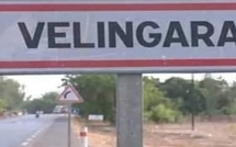 Fièvre de la Vallée du Rift : une mission de sensibilisation menée à Saré Ndiobo après la détection d’un cas animal