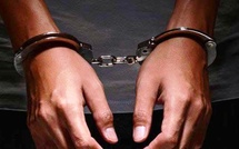 ​Affaire Senedeals : L’administrateur arrêté pour escroquerie, abus de confiance et injures