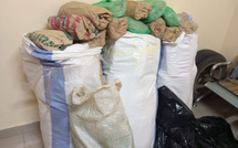 Thiès : 108 kg de chanvre indien saisis à la plage de Mballing