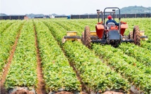 Construction de 120 entrepôts agricoles : l'Arcop relève des zones d'ombres autour d'une offre spontanée de 85,5 milliards de FCFA