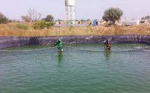 Aquaculture : Matam se voit présenter le nouveau Code pour structurer un secteur en expansion