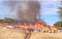 Fatick : 15,9 tonnes de drogues et produits illicites incinérées