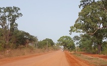 Désenclavement de la Casamance : Bassirou Dioumaye Faye lance le chantier de la route Sandiniéry-Tanaff