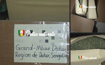 Trafic de drogue : 17 kg de kush saisis dans un colis venu d’Asie à Dakar