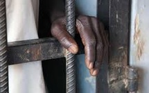 Vol de 2,8 millions à Thiès : un tiktokeur risque trois ans de prison 