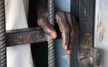 Ziguinchor : deux (02) personnes placées en garde à vue et 20 g de chanvre indien interceptés à la Mac
