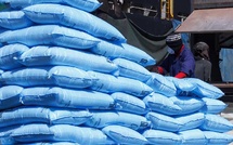 ​Saint-Louis : le prix du riz brisé ordinaire en baisse, les nouveaux tarifs plafonds dévoilés