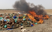 ​Tambacounda : des produits prohibés d’une valeur de plus de 500 millions FCFA incinérés