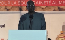 Industrie : le Groupe SENEGINDIA lance MAVAMAR Industries, un géant de 60 milliards pour la souveraineté alimentaire