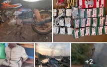 Orpaillage clandestin, drogue et produits prohibés : la Gendarmerie frappe fort