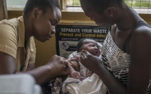 Inondations, températures élevées... le changement climatique complique la lutte contre le paludisme