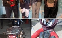 ​Sédhiou : cinq individus interpellés, cinq kg de chanvre indien saisis