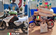 ​Opération de sécurisation à Kolda : plus de 44 kg de chanvre indien saisis, un individu arrêté