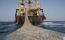 Afrique de l’Ouest : La CSRP en première ligne contre le pillage des océans