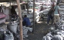 Thiès : les vendeurs de charbon et exploitants forestiers contestent  les nouvelles réformes de l'État