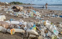 Urgence climatique et pollution plastique : «Les plus belles baies du monde» prévoient un conclave à Foundiougne