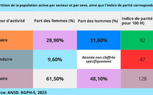 Économie sénégalaise : La parité à l'épreuve des secteurs d'activité
