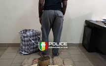 Dakar : un individu interpellé, 10,5 kg de chanvre indien saisis par la DIC à Sacré-Cœur