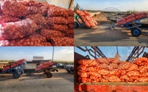 Rosso : un  réseau de trafic d'oignons dementelé