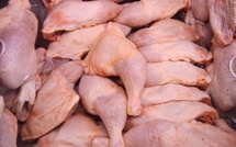 Importation illégale de cuisses de poulet : la filière avicole tire la sonnette d’alarme