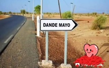 Économie : le Dandé Mayo subit de plein fouet la crise frontalière
