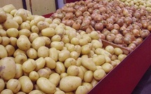 Bambey : la cheffe du service de commerce rassure les ménages sur la disponibilité des oignons et des pommes de terre 