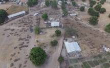 ​Un drone filme le pillage pour la Chine des dernières forêts du Sénégal
