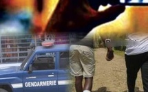 Affaire des presumés homosexuels : la gendarmerie procède à sa 51e interpellation
